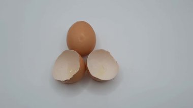 Beyaz arka planda tavuk yumurtası ve yumurta kabuğu. 