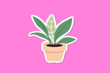 Saksının içine bitki koy.