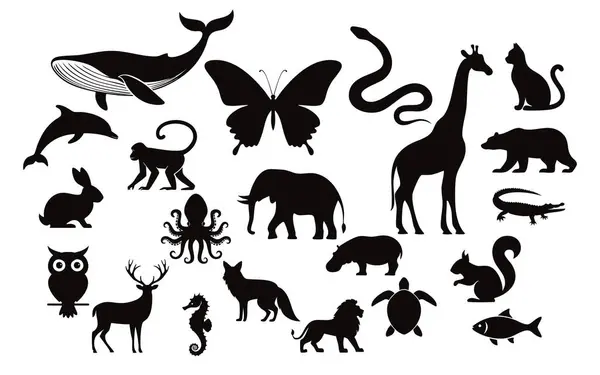 Hayvanların Zarif Vektör Silüetleri