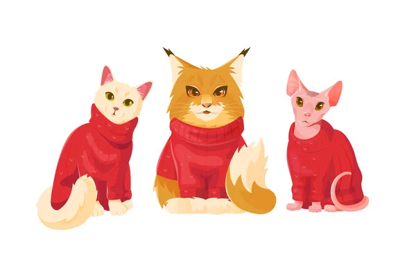 Collezione Cartoni Animati Gatti Carino Maglione Rosso Illustrazione Vettoriale — Vettoriale Stock