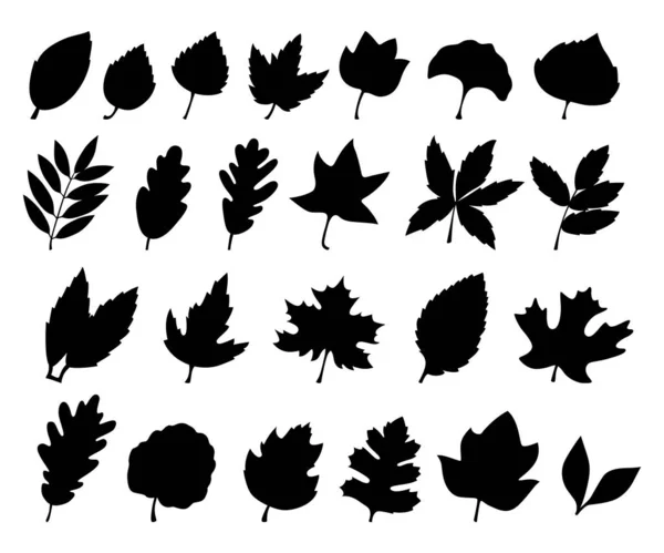 Schwarze Blättersilhouetten Auf Weißem Hintergrund Vektorillustration — Stockvektor