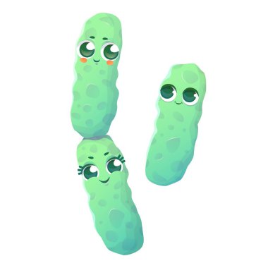 Çizgi film tarzında basit bir arkaplanda izole edilmiş Bacillus subtilis bakterisinin vektör çizimi.