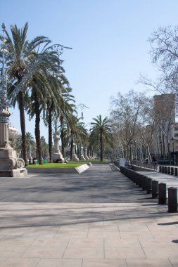 Avrupa 'da palmiye ağaçları ve zarif sokak lambalarıyla kaplı güneşli bir gezinti alanı. Temiz, açık bir yürüyüş yolu, doğal ve klasik kentsel tasarımın karışımı ile sakin bir gezintiye davet eder. Rahatlatıcı bir atmosfer yaratır..