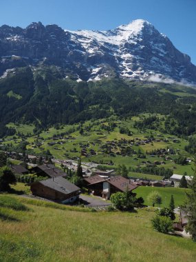 Yazın güneşli bir sabahta İsviçre Alpleri. Yeşil çimenler ve karlı dağ tepeleri, Grindelwald, İsviçre.