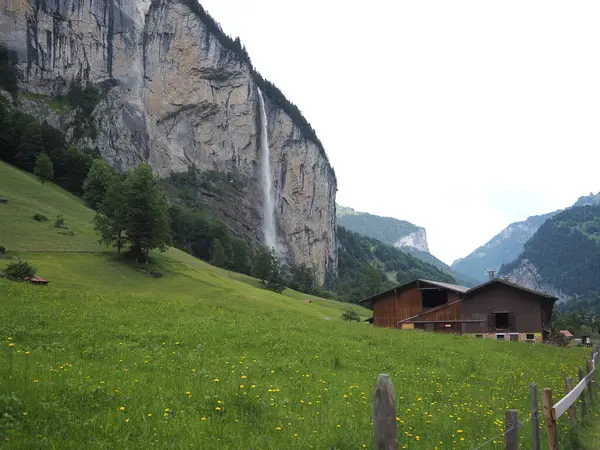 Uçurumdan yeşil bir çayıra düşen yüksek bir şelale. Lauterbrunnen, İsviçre 'deki Şelale Vadisi