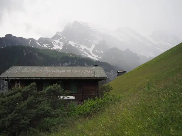 Alp dağlarında tazelik, yeşillik ve yağmur. Yeşil çayırlarla çevrili ahşap bir ev. İsviçre dağlarında yağmurlu bulutlu bir yaz.