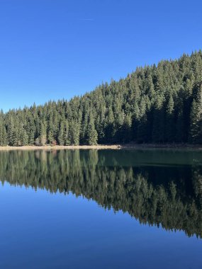 Yeşil orman, güneşli bir günde aynada olduğu gibi göl suyunun yüzeyine yansıyor. Ayna gölü.