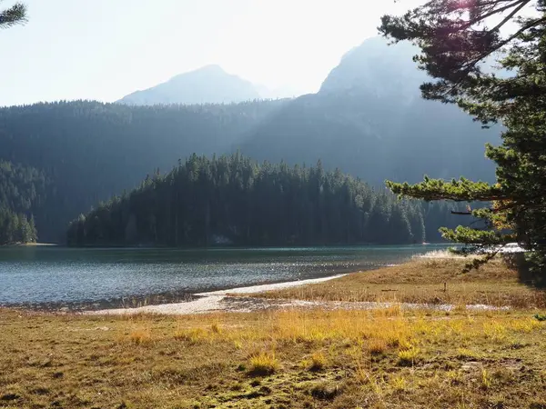 Durmitor Milli Parkı 'ndaki Kara Göl ve dağların manzarası sakin güneşli bir sabahta, Karadağ ve Balkanlar
