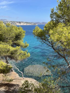 Kosta Blanca 'daki kıyı manzarası: Balear Denizi' nin şeffaf mavi suları ve güneşli bir günde mavi bir gökyüzünün altında yeşil çam ağaçları. Tatiller, İspanya 'da turizm. Alicante, Valencia vilayeti.