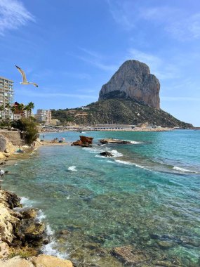 Calpe sahilinin manzarası: Balearic Denizi 'nin berrak mavi suları ve dik dağları, uçan martılar, güneşli bir gün. Costa Blanca, Alicante, Valencia Tatilleri.