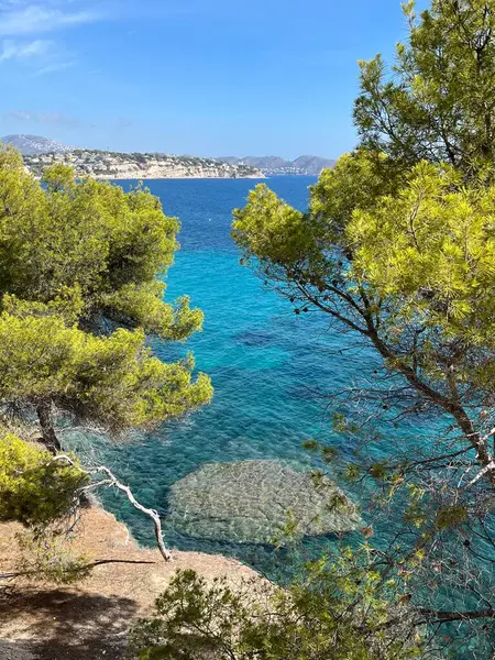 Kosta Blanca 'daki kıyı manzarası: Balear Denizi' nin şeffaf mavi suları ve güneşli bir günde mavi bir gökyüzünün altında yeşil çam ağaçları. Tatiller, İspanya 'da turizm. Alicante, Valencia vilayeti.