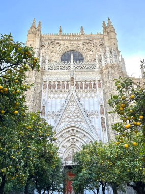 Seville Katedrali, Patio de Los Naranjos, Orange Avlusu. Güneşli bir günde Sevilla 'da portakal ve mandalina ağaçları