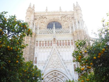 Seville Katedrali, Patio de Los Naranjos, Orange Avlusu. Güneşli bir günde Sevilla 'da portakal ve mandalina ağaçları