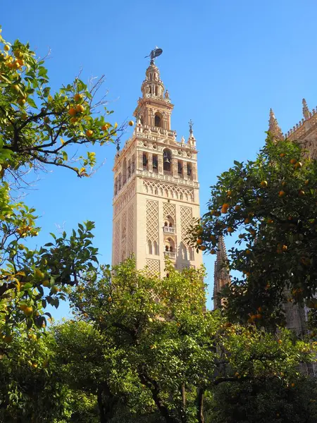 Giralda Kulesi Seville Katedrali. Güneşli bir günde, portakal ağaçları arasında gotik Katolik katedrali. Sevilla, Endülüs, İspanya.