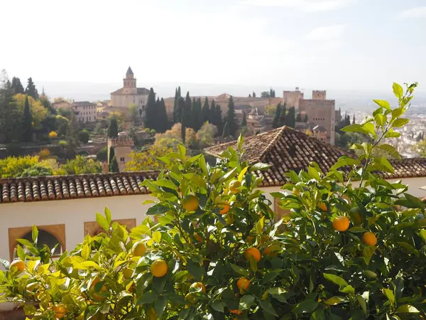 Endülüs portakal ağaçları ve Endülüs, İspanya Granada 'daki Alhambra Sarayı' nın güneşli manzarası. Turunçgil meyveli yeşil ağaç. Endülüs Arap Bahçeleri.
