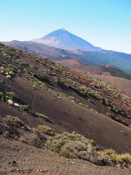 Mavi gökyüzüne karşı Teide volkanının zirvesi ve yeşillikle kaplı siyah ve kırmızı lav oluşumları. Tenerife 'nin volkanik manzarası, Kanarya Adaları, İspanya. Teide Ulusal Parkı.