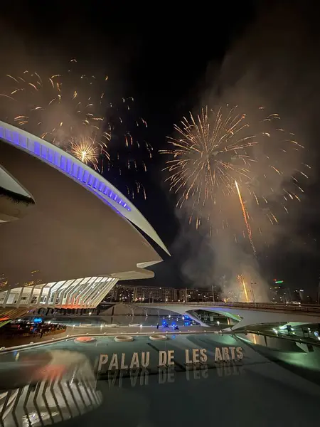 Valencia, İspanya 'daki sanat ve bilim şehrinde havai fişekler. Opera Binası ve Sanat Sarayı 'nın zeminine karşı havai fişek gösterisi.