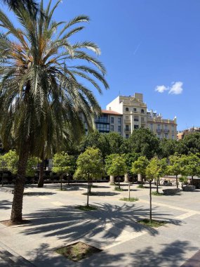 Jardines del Antiguo Hastanesi. Valencia, İspanya 'nın merkezindeki palmiye bahçeleri. Şehrin ortasında, sıcakta, yeşilliklerin arasında..