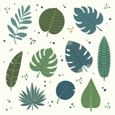 Elle çizilmiş tropik yaprak koleksiyonu. Modern yaz botanik vektör koleksiyonu.