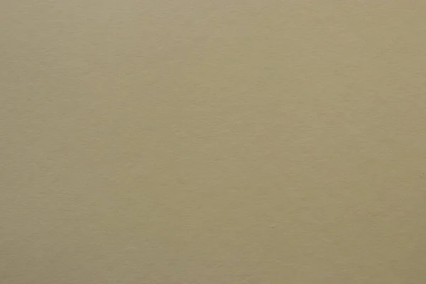 Палевий Устричний Кольоровий Тонований Паперовий Фон Колір Тупе — стокове фото