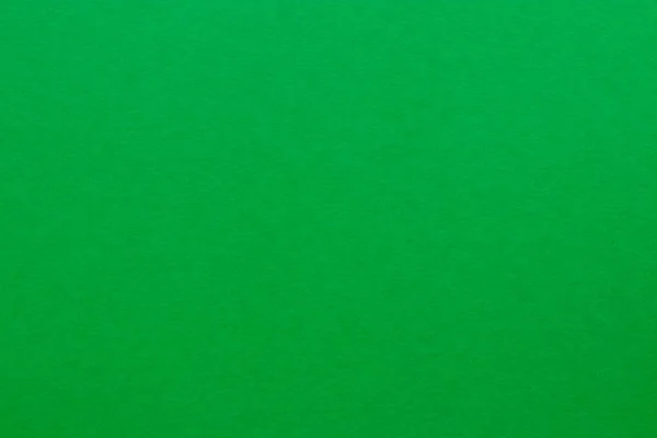 Erdő Zöld Színű Színes Papír Lap Háttér — Stock Fotó