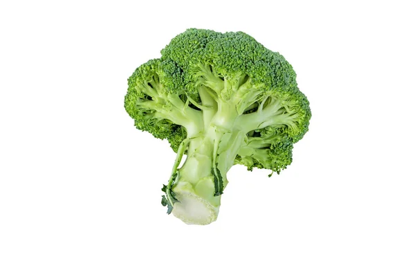 Broccolihuvud Isolerat Vitt Brassica Oleracea Var Italienskt Grönsaker Kalabresekål — Stockfoto