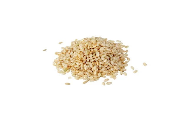 Brown Rice Heap Isolated White Uncooked Raw Whole Grain Cereal — Stock Photo, Image