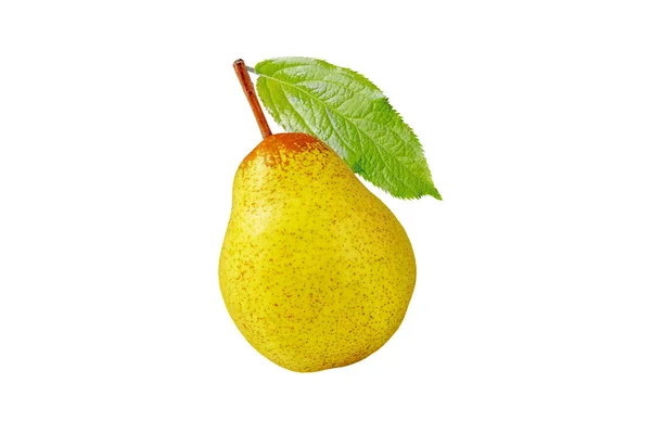 Rocha Päron Hela Frukt Isolerad Vitt Gulgröna Prickiga Päron Och — Stockfoto