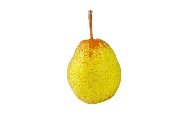 Rocha Päron Mogen Frukt Isolerad Vitt Gulgröna Prickiga Päron — Stockfoto