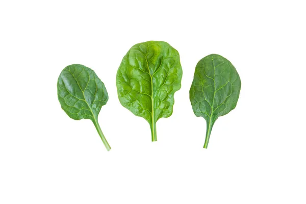 Green Spinach Leaves Set Isolated White Spinacia Oleracea Leaf Vegetable — Stock Photo, Image