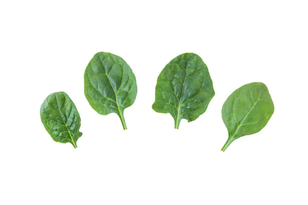 Spinach Leaves Set Isolated White Spinacia Oleracea Green Leaf Vegetable — Stock Photo, Image
