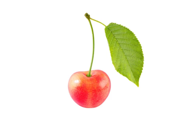 Sladké Třešně Jasně Červené Ovoce Stonkem Listy Izolované Bílém — Stock fotografie