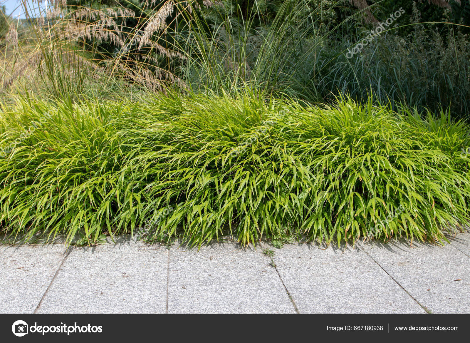 Bori va quyon bilan onlayn porno tomosha qiling Jinsiy aloqaning cheksiz quvonchi oquv seriyasi