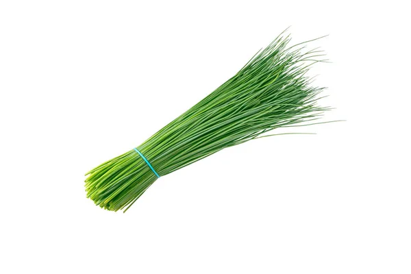 Green Chives Leaves Vegetable Bunch Tied Blue Rubber Band Isolated — Stock Photo, Image