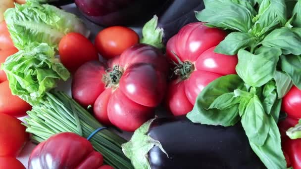 Verse Groenten Rotatie Tomaten Aardappelen Bieslook Aubergines Bonen Sla Salade — Stockvideo