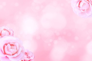 Bulanık arka planda pembe antika güller ve tomurcuklar. Kopyalama alanı olan tebrik kartı.