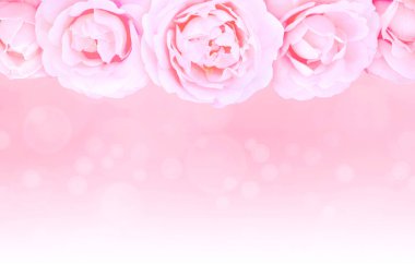 Bulanık arka planda pembe güller ve tomurcuklar var. Altındaki beyaz yazı için soluyor. Kopyalama alanı olan tebrik kartı.