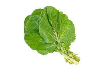 Karalahana yaprağı demeti beyazın üstünde. Brassica oleracea 'nın gevşek yapraklı tarlası. Yeşil sebze. Berza yeşillikleri.