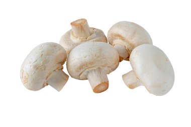 Beyaz şampiyon mantarları beyaza izole edilmiş. Agaricus bisporus.