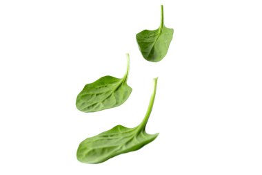 Heap of fresh green spinach leaves isolated on white. Leafy vegetables. Healthy eating and vegetarian diet. Spinacia oleracea plant. clipart