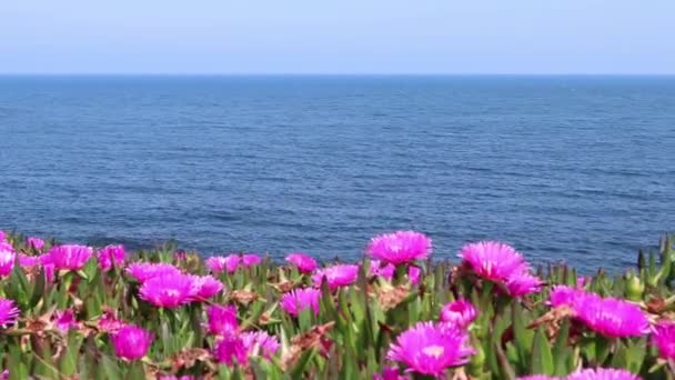 Ribadeo Spanya Mayıs 2022 Ribadeo Galiçya Daki Pancha Adasının Deniz — Stok video