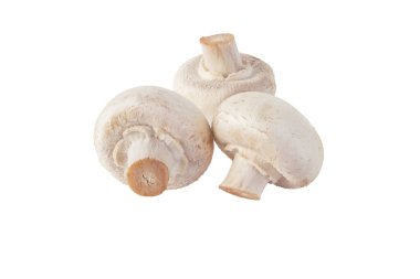 Beyaz şampiyon mantarları beyaza izole edilmiş. Agaricus bisporus. Üç çiğ mantar..