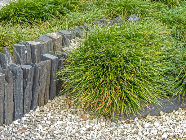 Зеленая декоративная трава в маленьком городском саду с шифер и мульча гравия