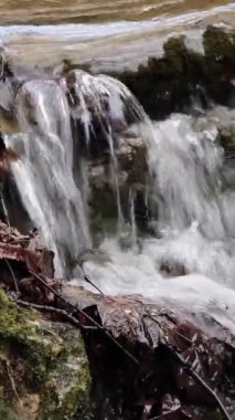 Dik bir akış videosunda küçük bir şelale. Akan kristal berrak su kayaların üzerinden atlıyor..