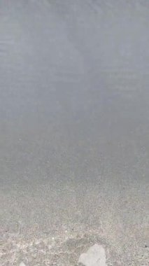 Beyaz deniz köpüğü dalgaları koyu gri kumlu plajı siler. Dalgalarla yıkanan plaj. Dikey video.. 