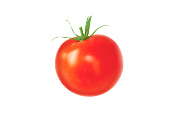 Yeşil kuyruklu kırmızı domates, şeffaf png. Solanum lycopersicum olgun meyve.