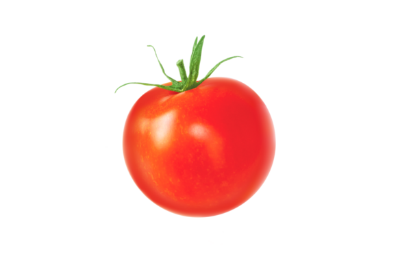 Yeşil kuyruklu kırmızı domates, şeffaf png. Solanum lycopersicum olgun meyve.