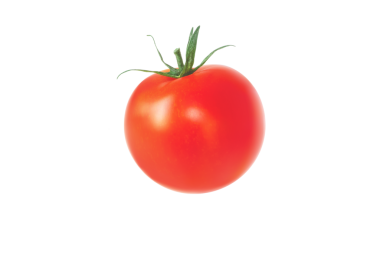 Kırmızı domates sebzesi, şeffaf png. Solanum lycopersicum olgun meyve.