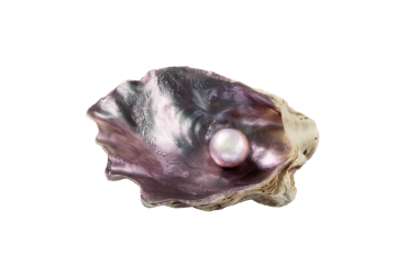 Mor yanardöner istiridye kabuğundaki inci şeffaf png izole edilmiştir.