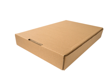 Düz karton kutu şeffaf png izole